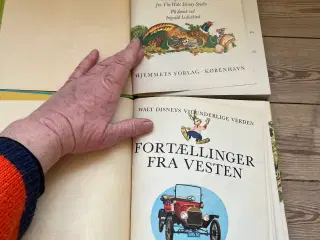 Disney vidunderlige verden
