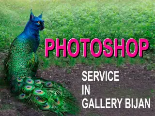 Fotoshop service