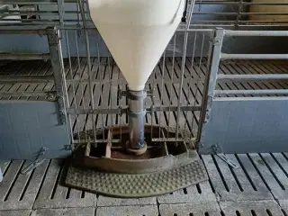 Vissing Agro foderautomat