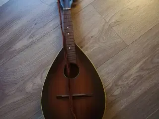 Mandolin 