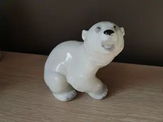Flot Lomonosov isbjørn
