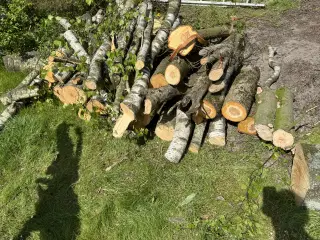 Træ Brænde 