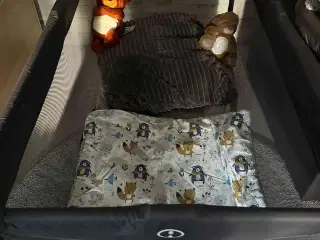 Babyseng