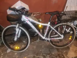 Forskellige Børn cykler 