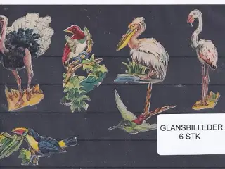 Glansbilleder - Fugle - 6 Stk.