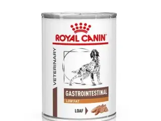 RC Veterinary Canine Gastrointestinal Low Fat