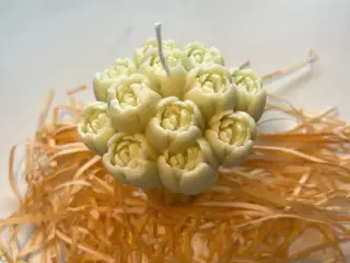 Lys 