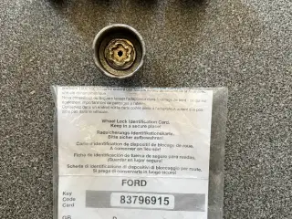Ford Kuga Låsemøtrik for hjul