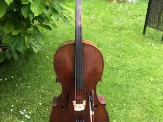 Fin gl. Cello
