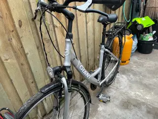 Cykler