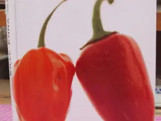 Kille Enna mit solskinskøkken