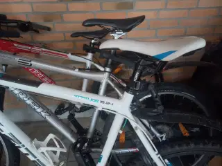 Mountain bike Str. 29'' cykel med hjelm 24 gear 55