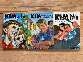 NEDSAT: 3 KIM bøger