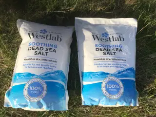 Westlab Dead Sea Salt 10 kg