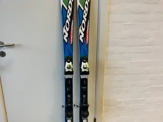 Nordica Doberman ski