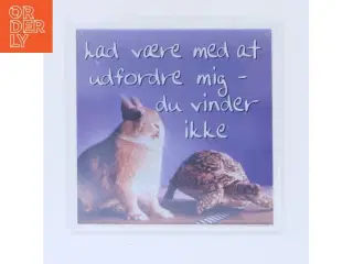 Sjov køleskabsmagnet fra H&H (str. 6,5x6,5 cm)