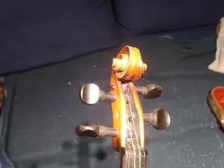 Violin