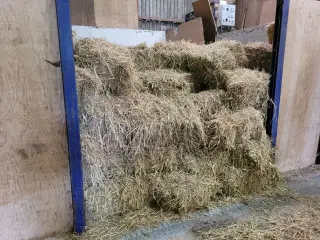 hø af havre med højt sukker indhold, beluftet.