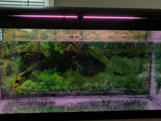 96 liters akvarie sælges 