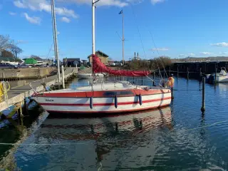 Maxi 68