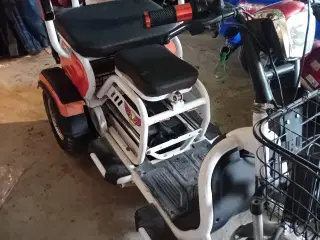 El-scootere 3 hjul kinøjser 