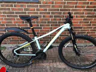 Specialized mountainbike