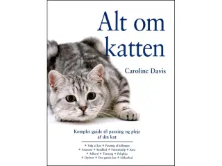 Alt om Katten