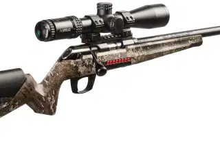 Winchester Expert 22LR