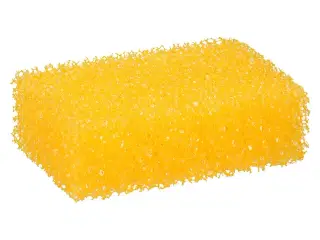 Allride, svamp til insekter