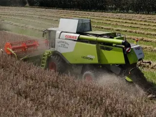 CLAAS LEXION 650 KUN 850 TIMER OG V770 SKÆREBORD!