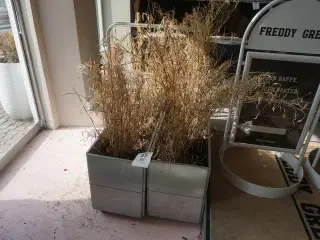 2 stk. plantekasser på hjul