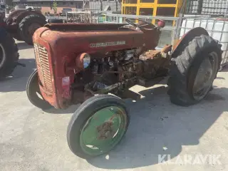 Veterantraktor Massey-Ferguson 35