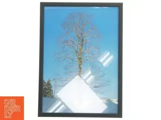Indrammet billede af vintertræ (str. 29,8x42 cm)