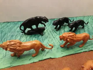 11 Reisler Zoo Dyr