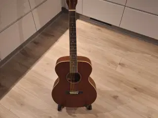 Harley Benton Guitar