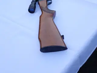 Anschutz 22 LR  salonriffel 