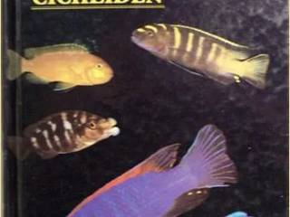 Malawi Cichlids bøger, tysk - engelsk 