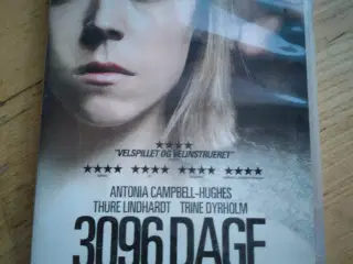 3096 dage
