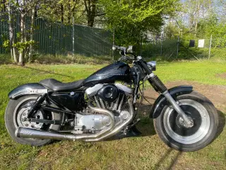 Sportster