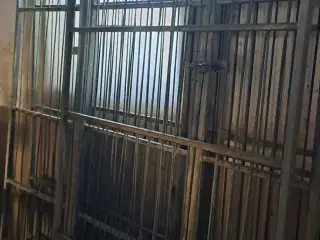 Hundegårdselementer 