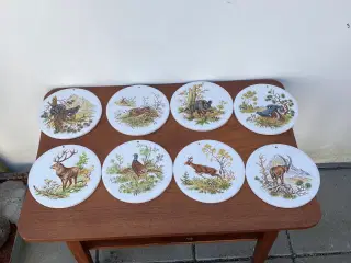 Dekorative vildt/jagt platter