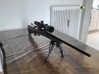 Stevens Savage 22-250 rem riffel 