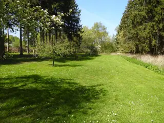 jagtområde sælges