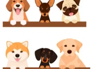 Søger min nye bedste ven 🐶❤️