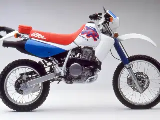 Honda XR650L Købes.