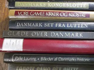 Danmarks Historien, 9 bøger om Danmark