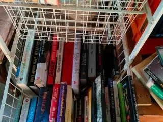 Forskellige bøger fra 5 kr pr bog