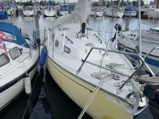 Sailboat Erria 25