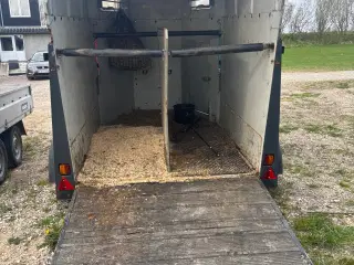 Brenderup HB1304 hestetrailer