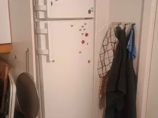 Electrolux køle- og fryseskab til salg